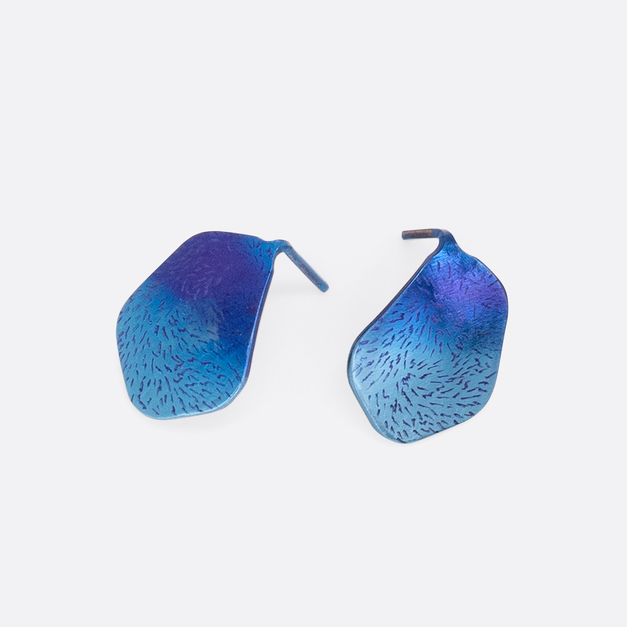 Charcos del Viento – Organic Titanium Earrings