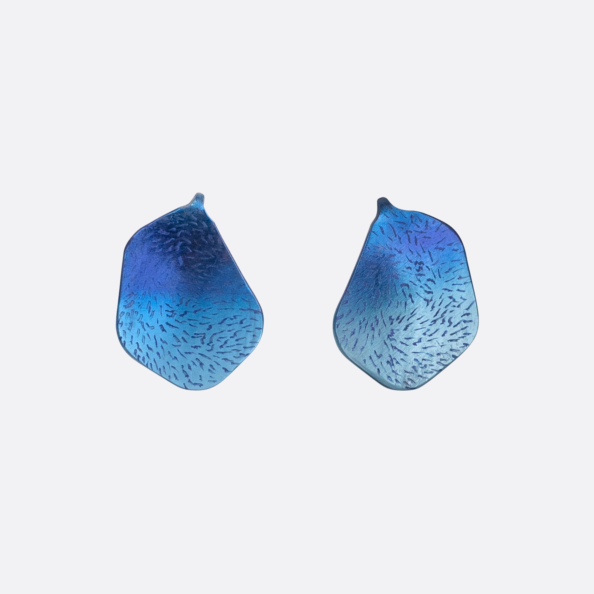 Charcos del Viento – Organic Titanium Earrings