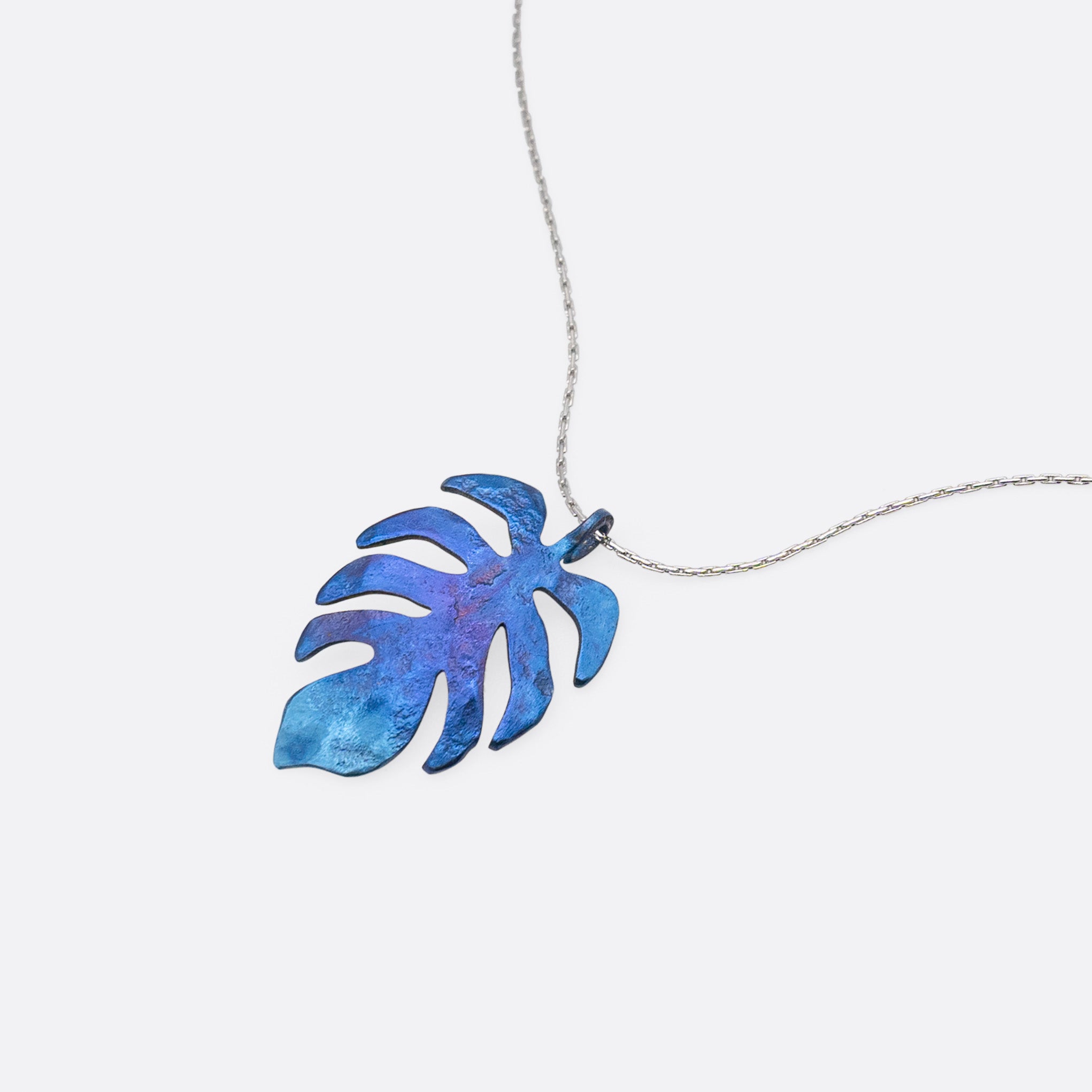 Costilla de Adán Nocturne – Taoro Gardens Titanium Pendant