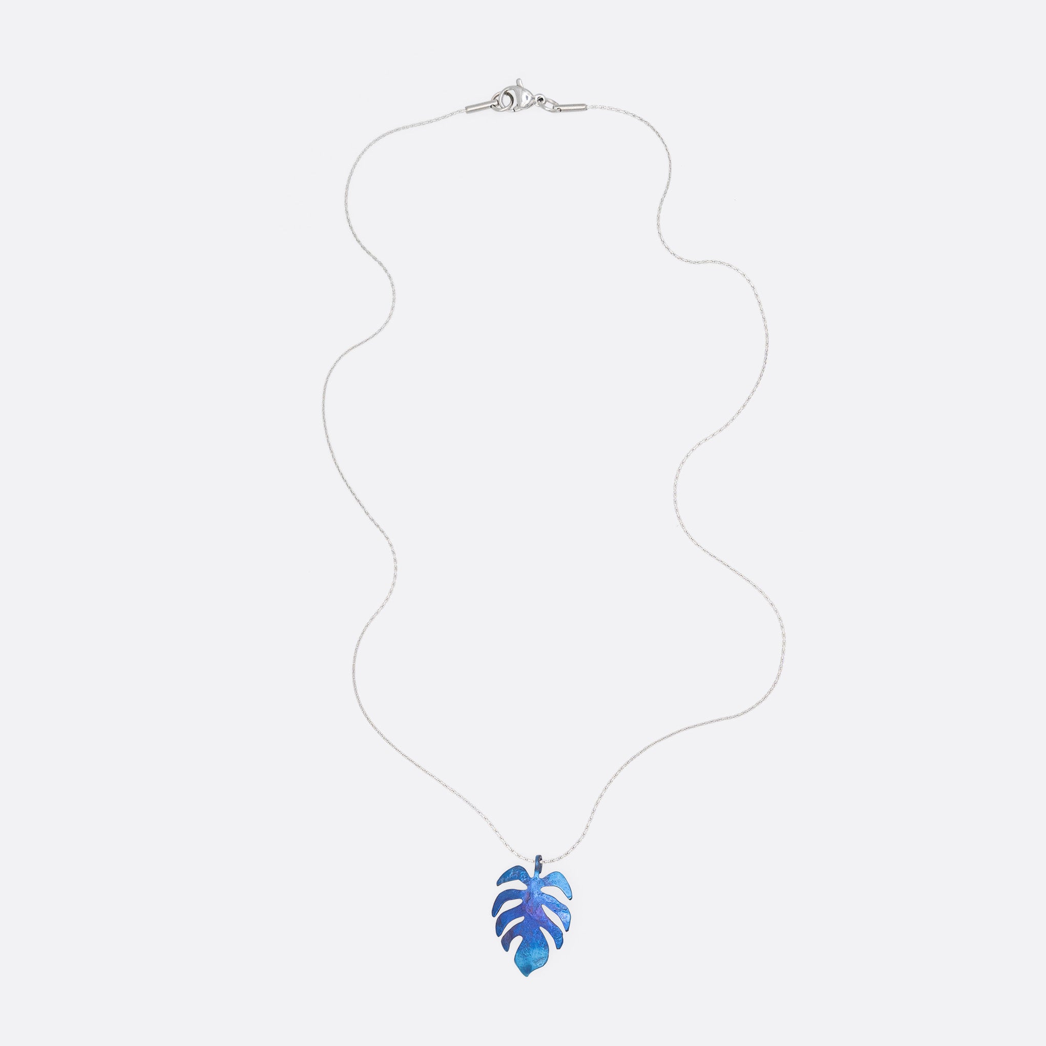 Costilla de Adán Nocturne – Taoro Gardens Titanium Pendant