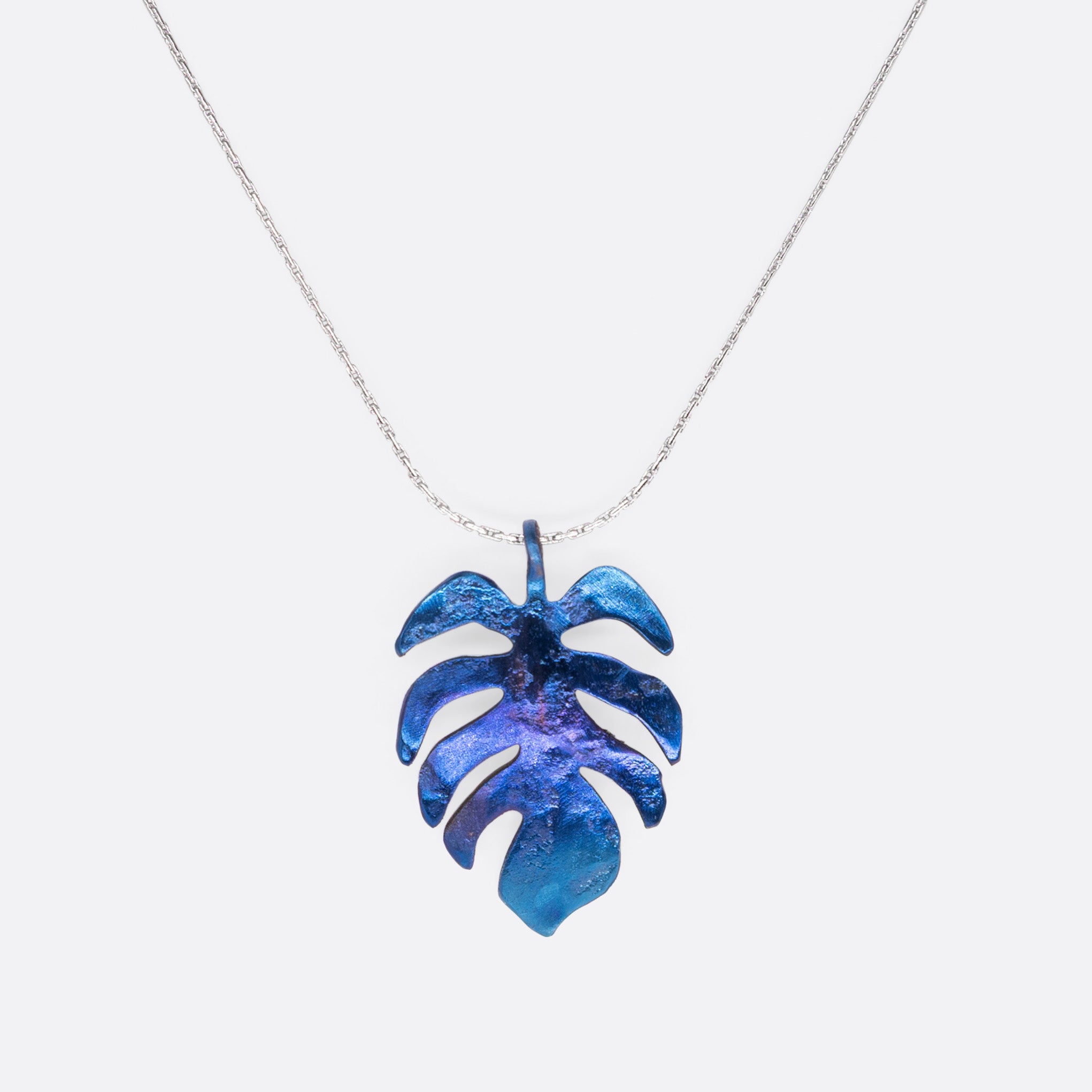 Costilla de Adán Nocturne – Taoro Gardens Titanium Pendant