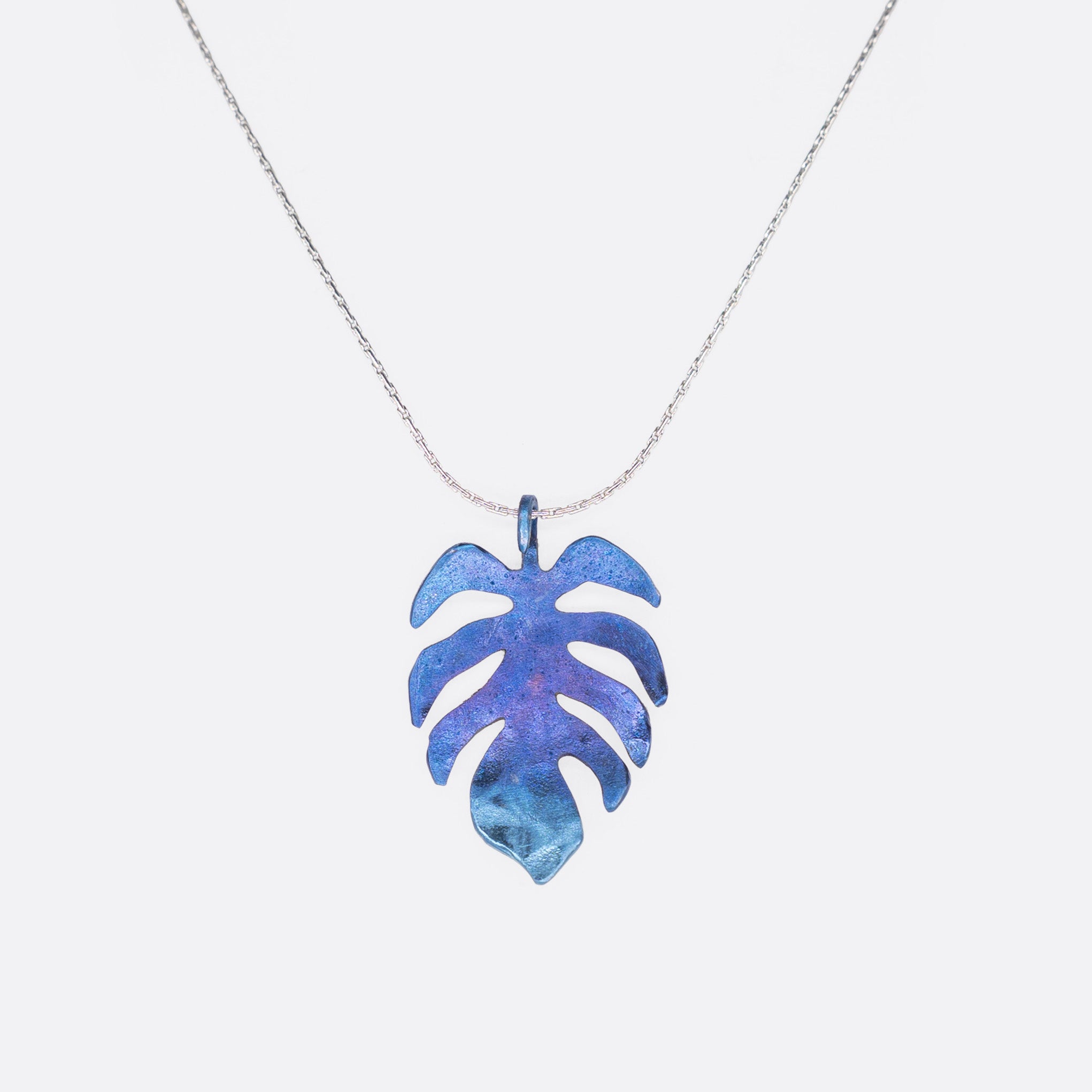 Costilla de Adán Nocturne – Taoro Gardens Titanium Pendant